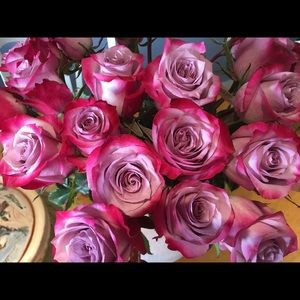 Meet your Posher, Rhonda